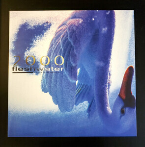 Fleshwater - 2000: In Search Of The Endless
