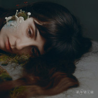 Dodie - Not For Lack Of Trying (Indie)