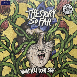 Story So Far - What You Dont See