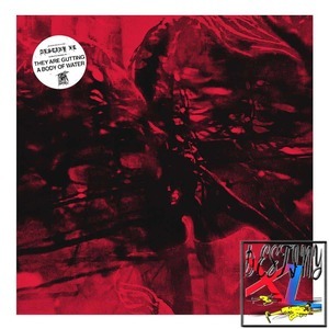 They Are Gutting A Body Of Wat - Destiny Xl