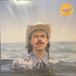 Boy Golden - Best Of Our Possible Lives