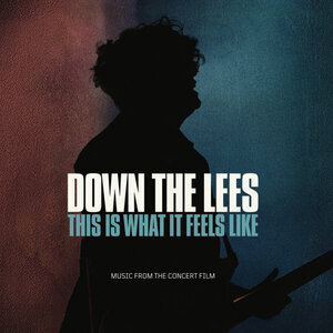 Down The Lees - This Is What It Feels Like