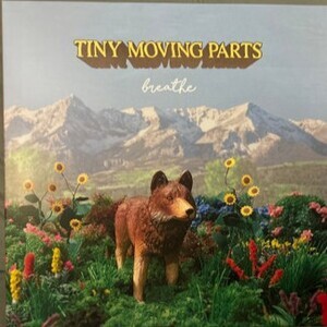 Tiny Moving Parts - Breathe (Ri2026/Neon Orange)