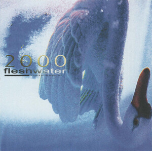 Fleshwater - 2000: In Search Of The Endless