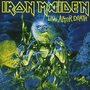 Iron Maiden - Life After Death (180g) (Black