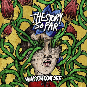 Story So Far - What You Dont See